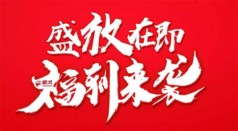 再拓疆域！鵬鴻We+定制&紅星美凱龍聯(lián)袂亮相烏魯木齊