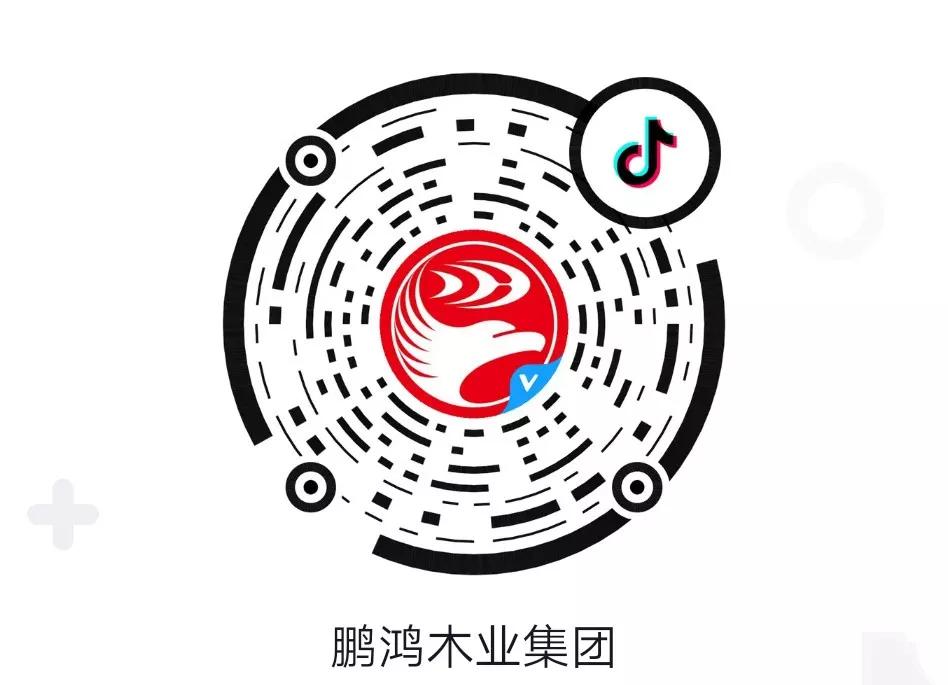 這廂有禮丨這個春節(jié)我最鴻，抖音相伴幸福年