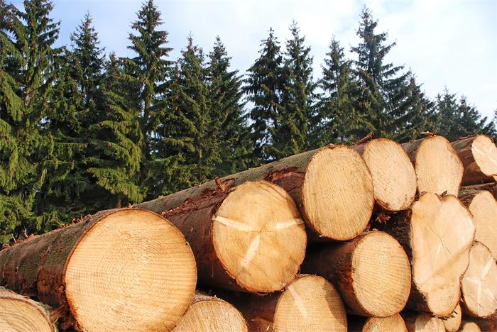 鵬鴻顆粒板環(huán)保無醛 顆粒板環(huán)保嗎