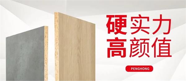 解鎖鵬鴻實(shí)木顆粒板獨(dú)當(dāng)一“面”的底氣